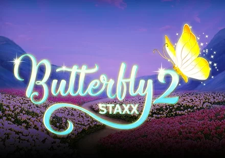 나비 Staxx 2